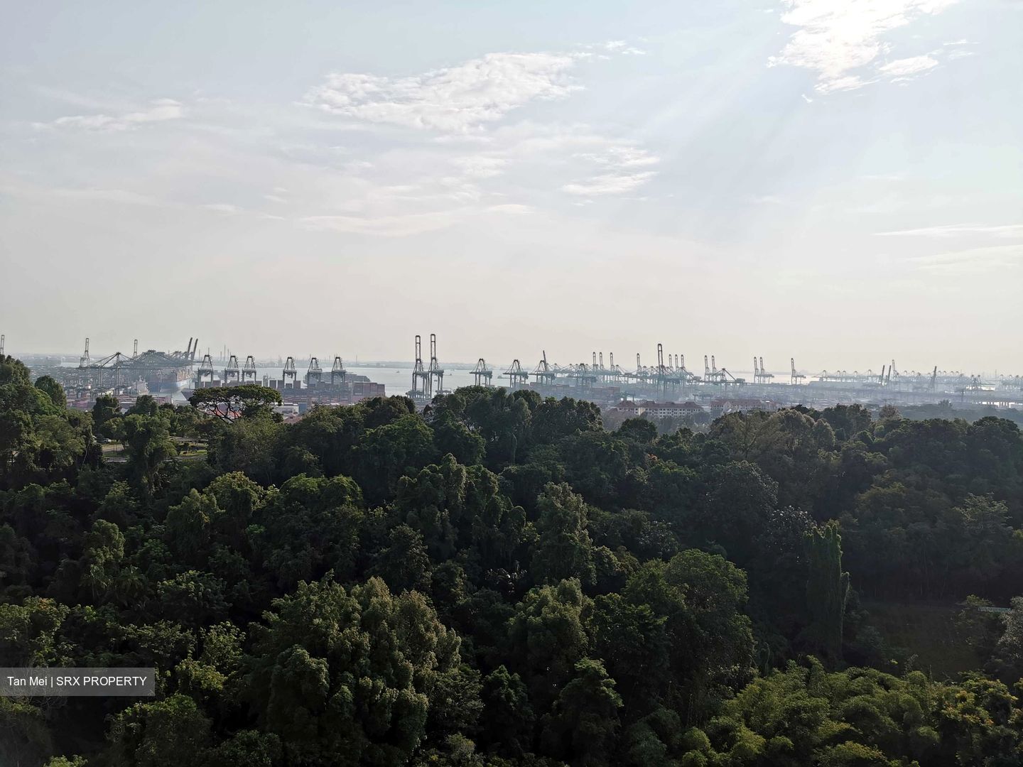 Normanton Park (D5), Apartment For Rent 100984841